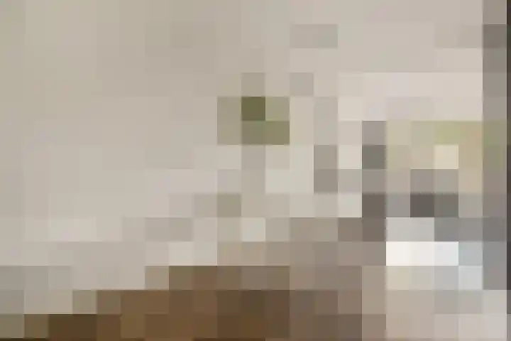 Roggekamp 7 Diemen thumbnail 10