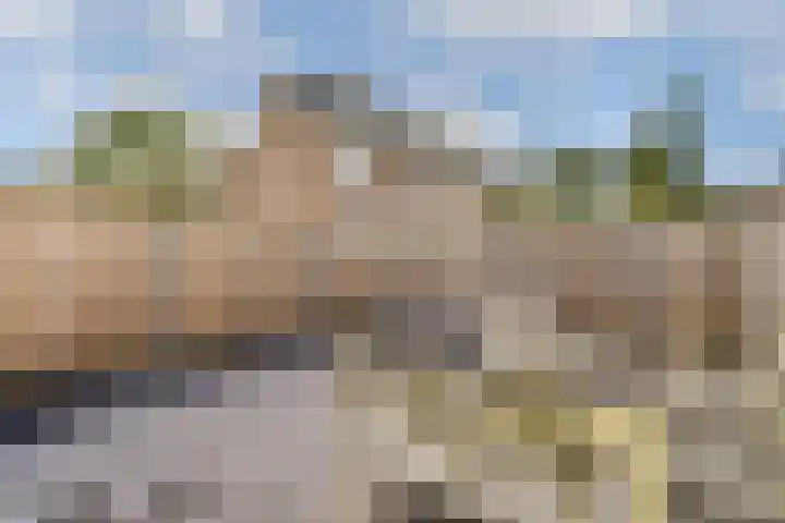 Roggekamp 7 Diemen thumbnail 11