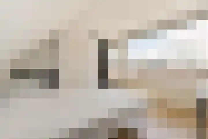 Roggekamp 7 Diemen thumbnail 24