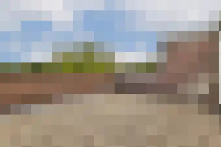 Roggekamp 7 Diemen thumbnail 26
