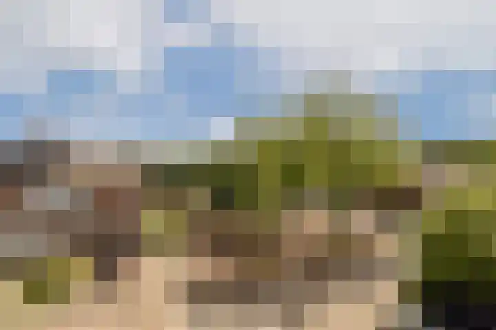 Roggekamp 7 Diemen thumbnail 27
