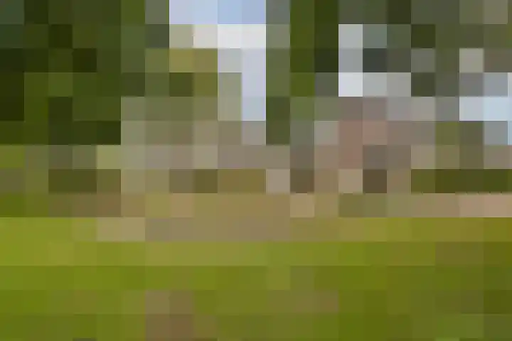 Roggekamp 7 Diemen thumbnail 30