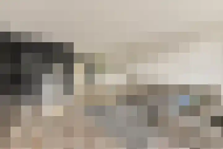 Roggekamp 7 Diemen thumbnail 5
