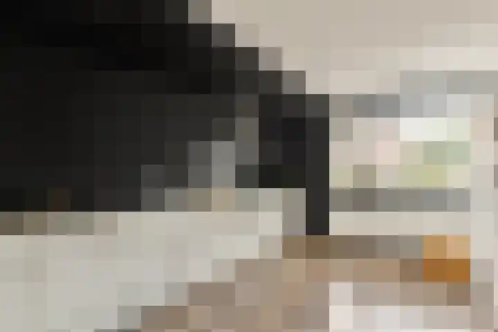 Roggekamp 7 Diemen thumbnail 7