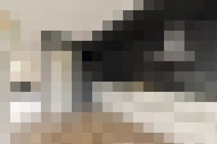 Roggekamp 7 Diemen thumbnail 8