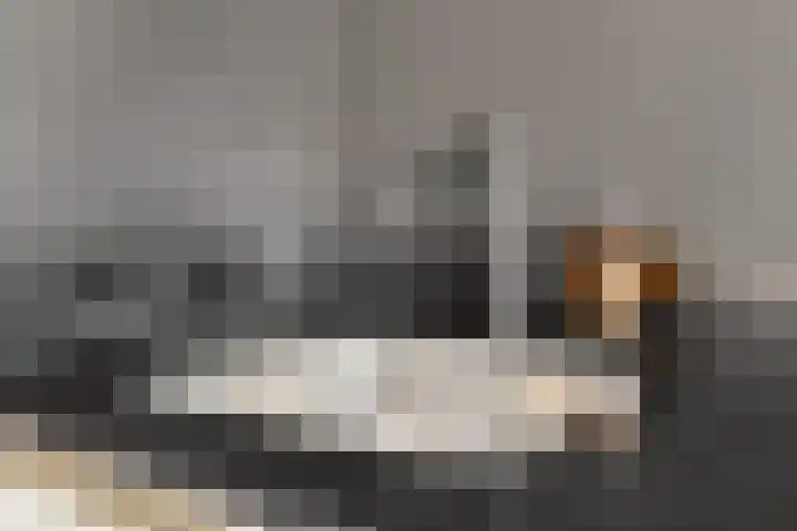 Roggekamp 7 Diemen thumbnail 9