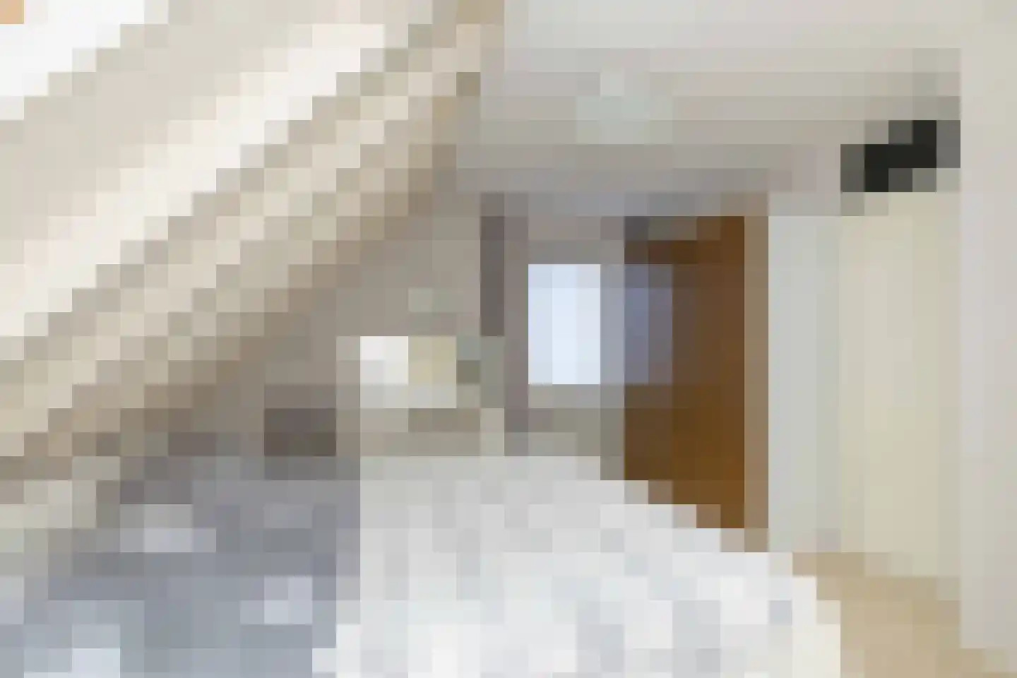 Roggekamp 8 Hoogeveen thumbnail 22