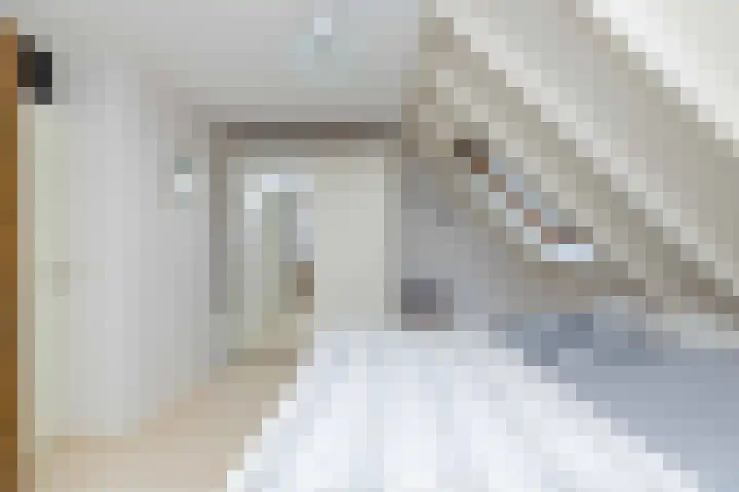 Roggekamp 8 Hoogeveen thumbnail 23