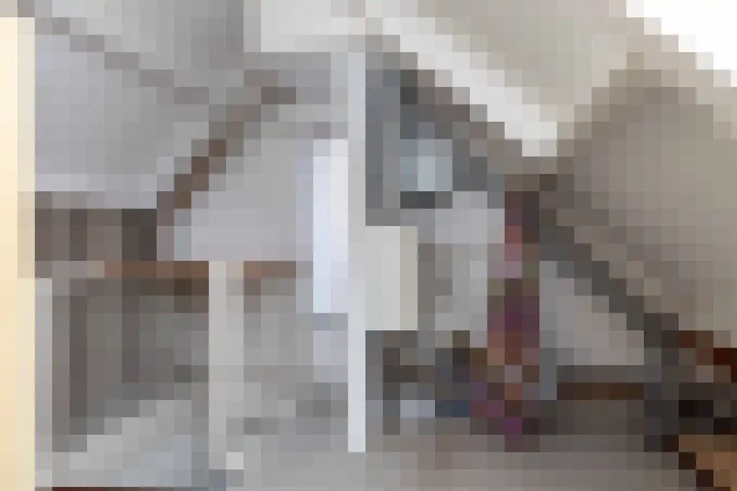 Roggekamp 8 Hoogeveen thumbnail 34
