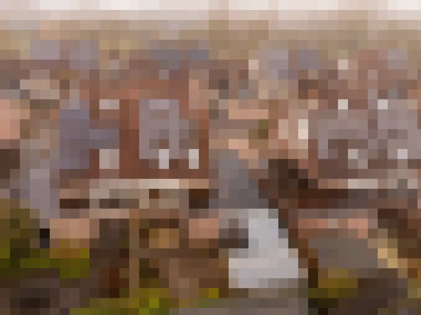 Roggekamp 8 Hoogeveen thumbnail 37