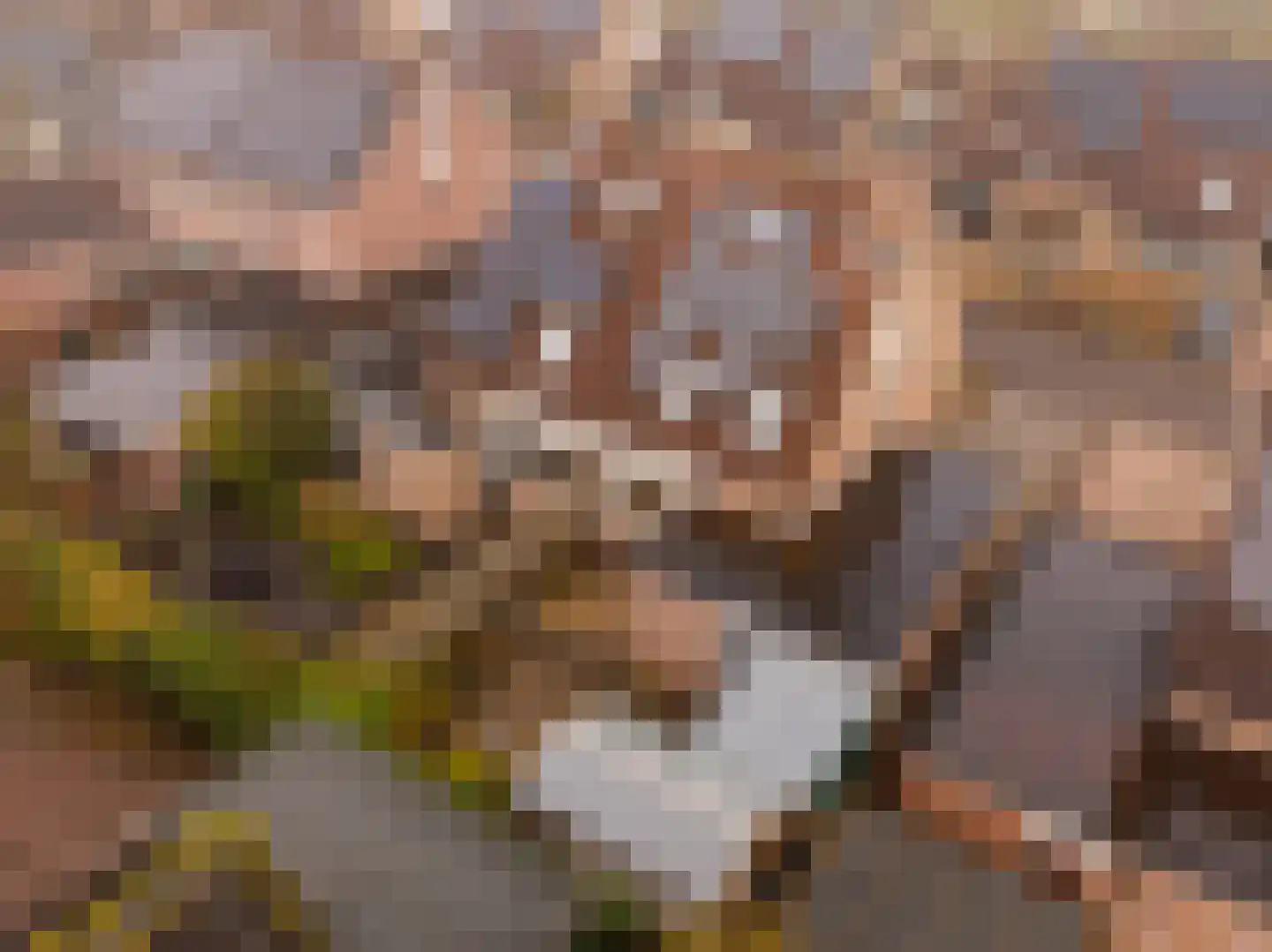 Roggekamp 8 Hoogeveen thumbnail 4