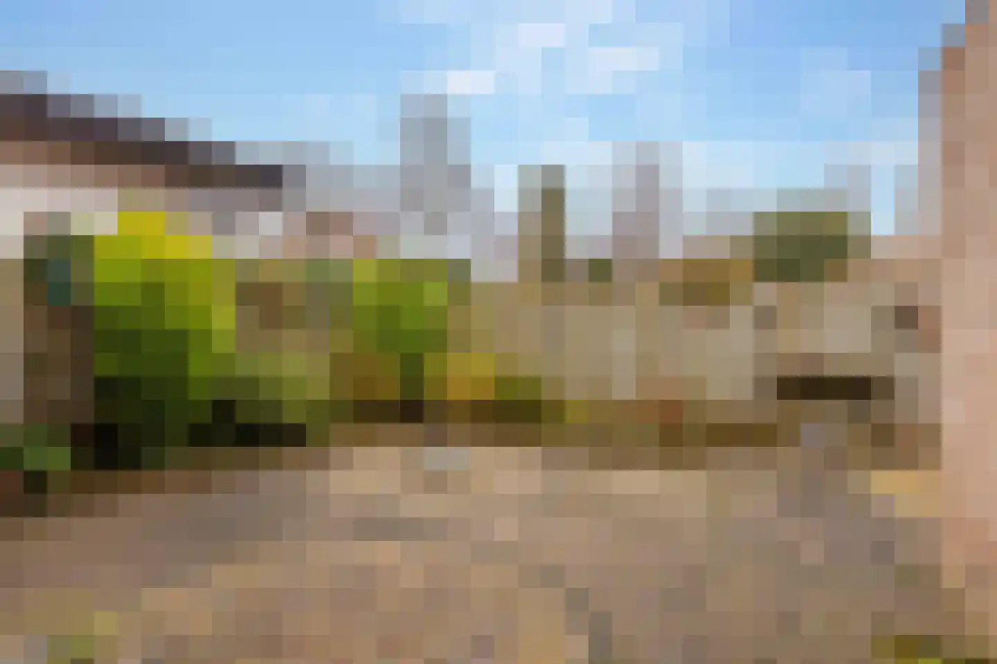 Roggekamp 8 Hoogeveen thumbnail 41