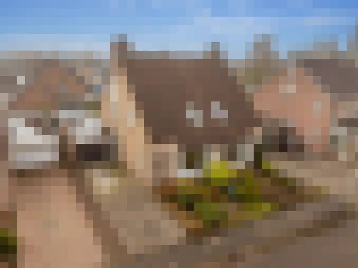 Roggekamp 8 Hoogeveen thumbnail 44