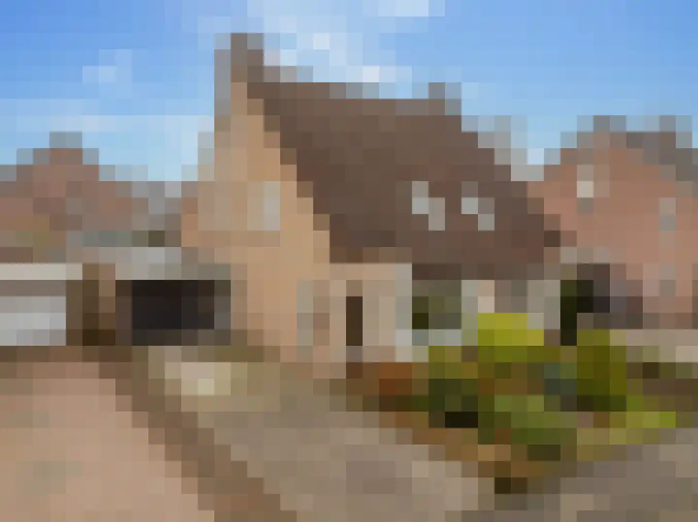 Roggekamp 8 Hoogeveen thumbnail 5