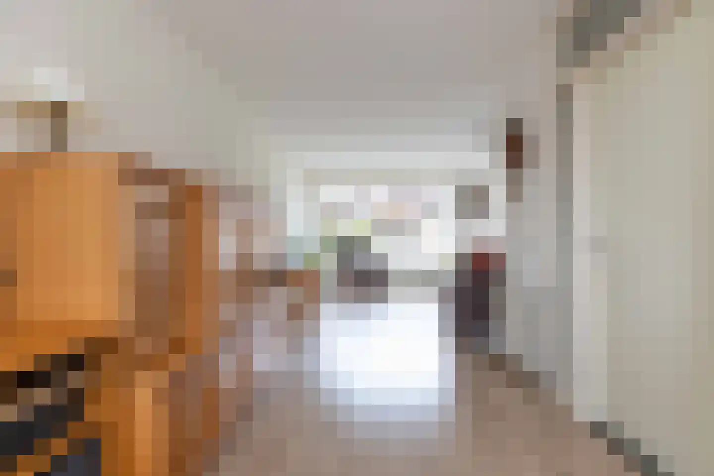 Roggekamp 8 Hoogeveen thumbnail 8