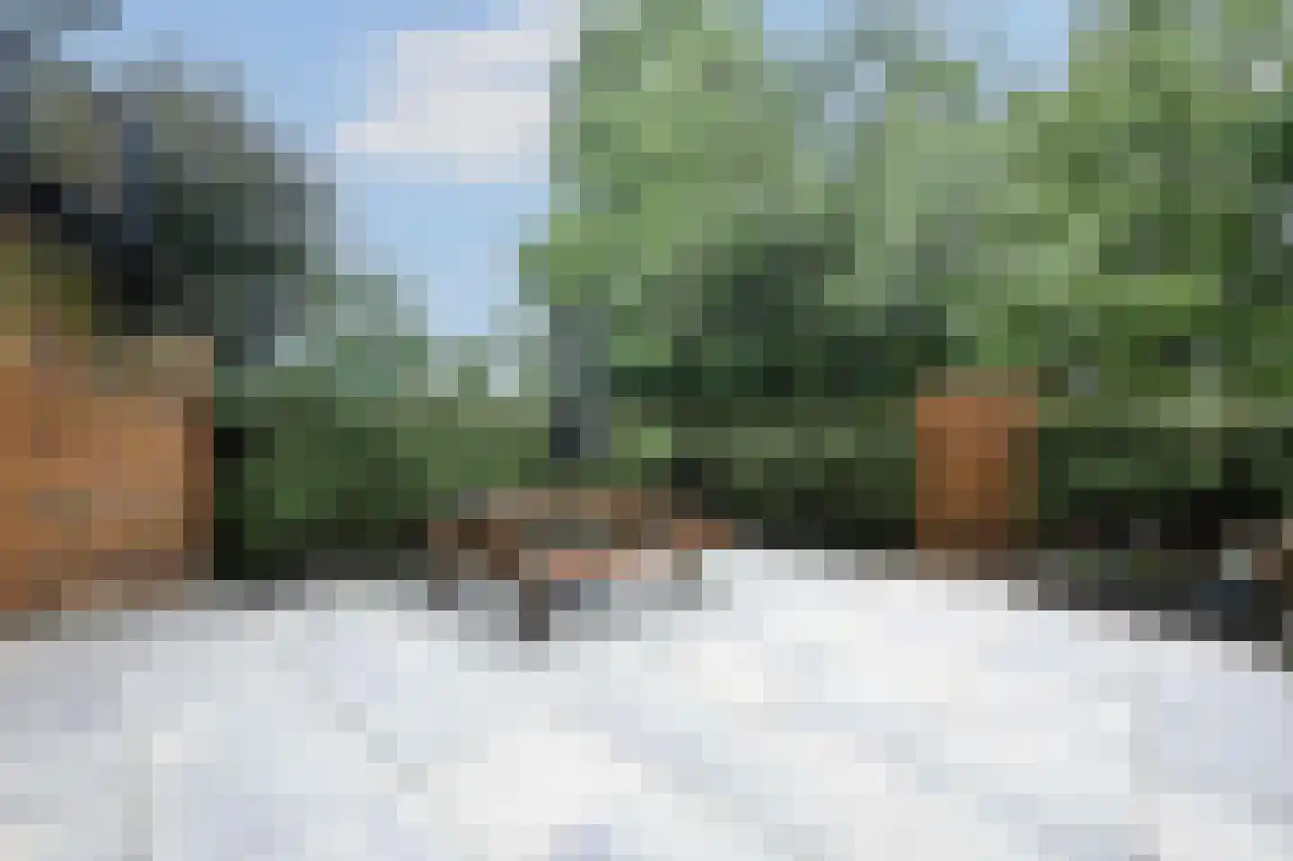Roggekamp 83 Diemen thumbnail 22