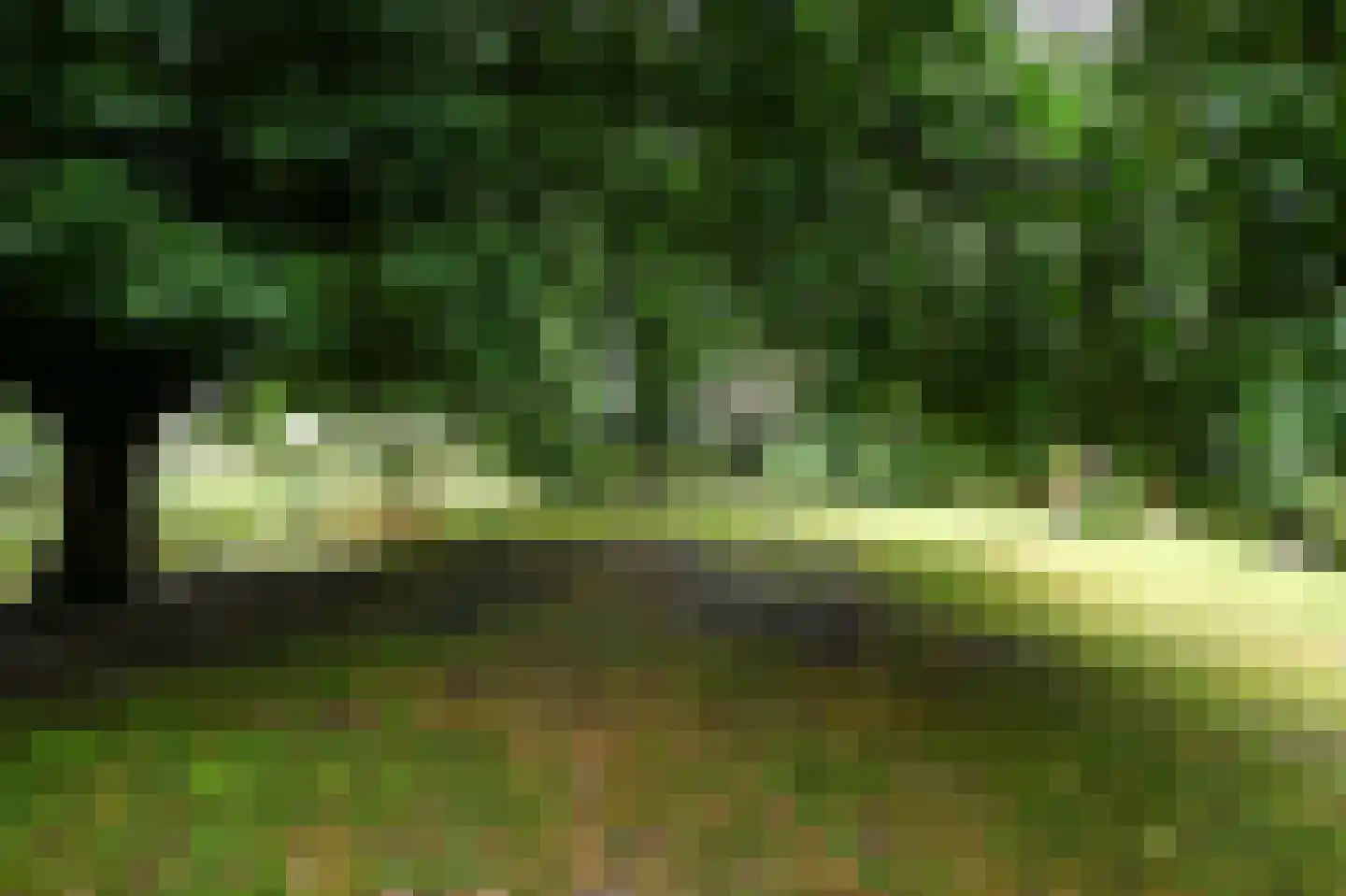 Roggekamp 83 Diemen thumbnail 28