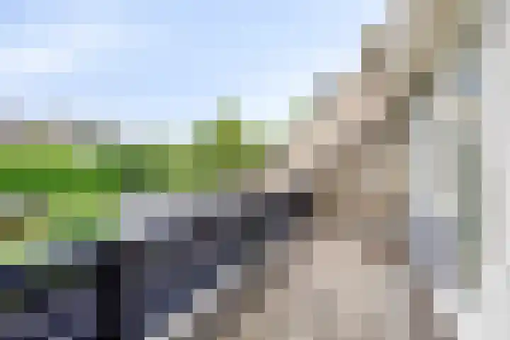Roggeland 14 Leusden thumbnail 13