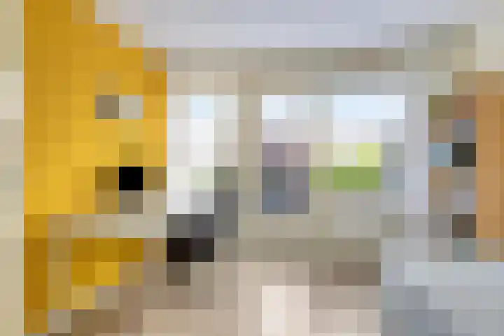 Roggeland 14 Leusden thumbnail 14