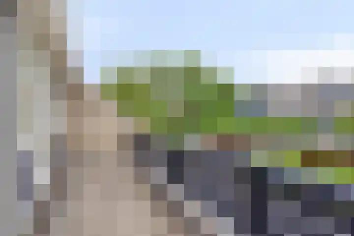 Roggeland 14 Leusden thumbnail 16