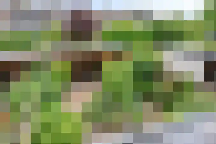 Roggeland 14 Leusden thumbnail 17