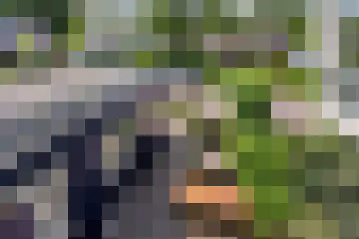 Roggeland 14 Leusden thumbnail 19