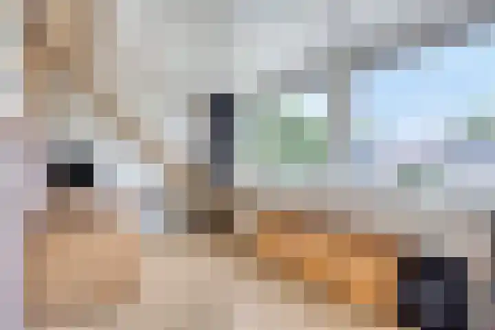 Roggeland 14 Leusden thumbnail 22
