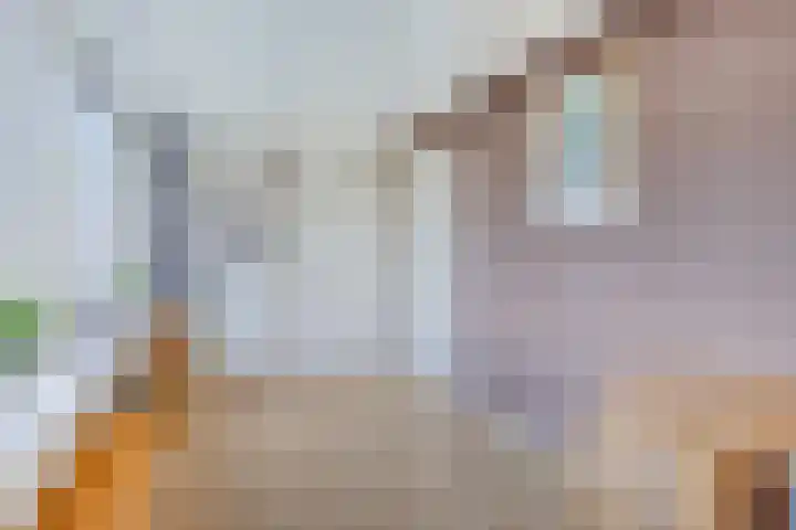 Roggeland 14 Leusden thumbnail 23