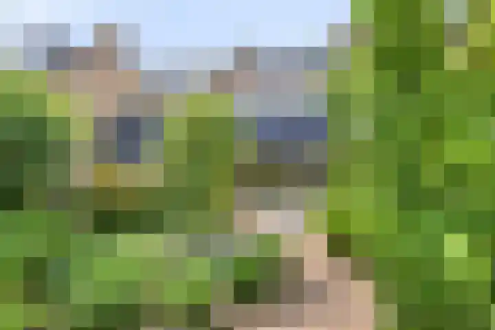 Roggeland 14 Leusden thumbnail 27