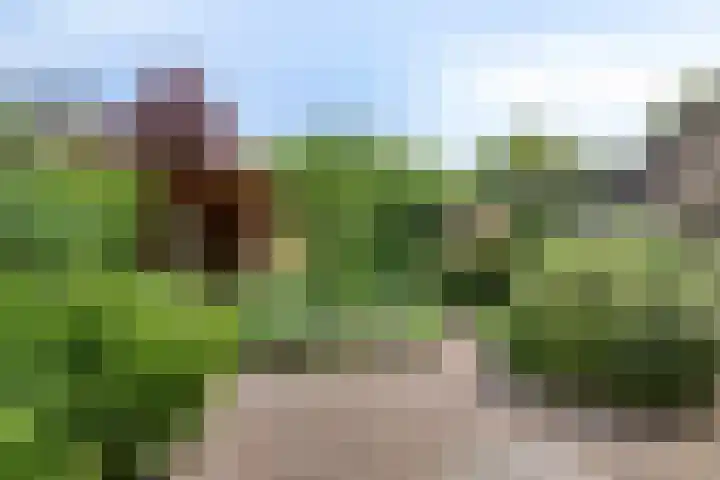 Roggeland 14 Leusden thumbnail 28