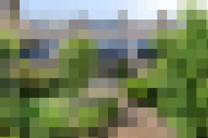 Roggeland 14 Leusden thumbnail 32