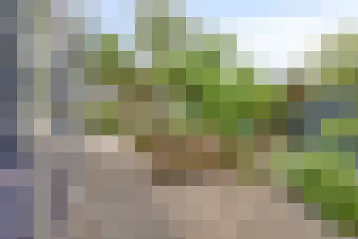 Roggeland 14 Leusden thumbnail 35