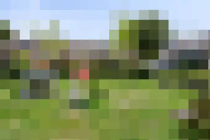 Roggeland 14 Leusden thumbnail 39