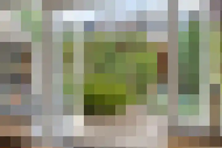 Roggeland 14 Leusden thumbnail 9
