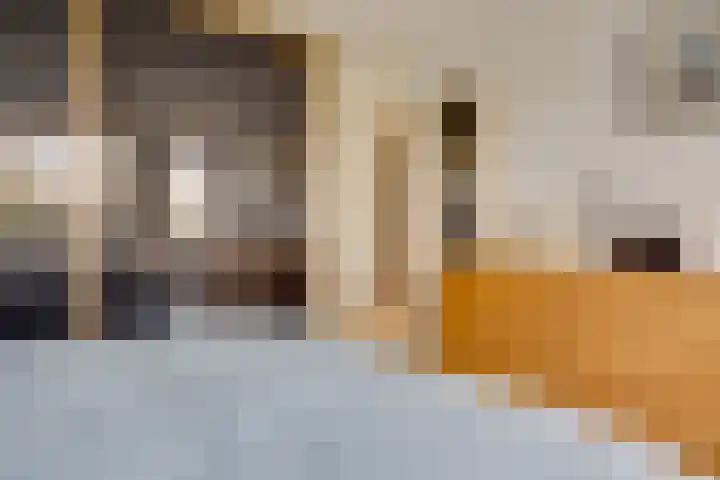 Roggeland 4 Leusden thumbnail 17