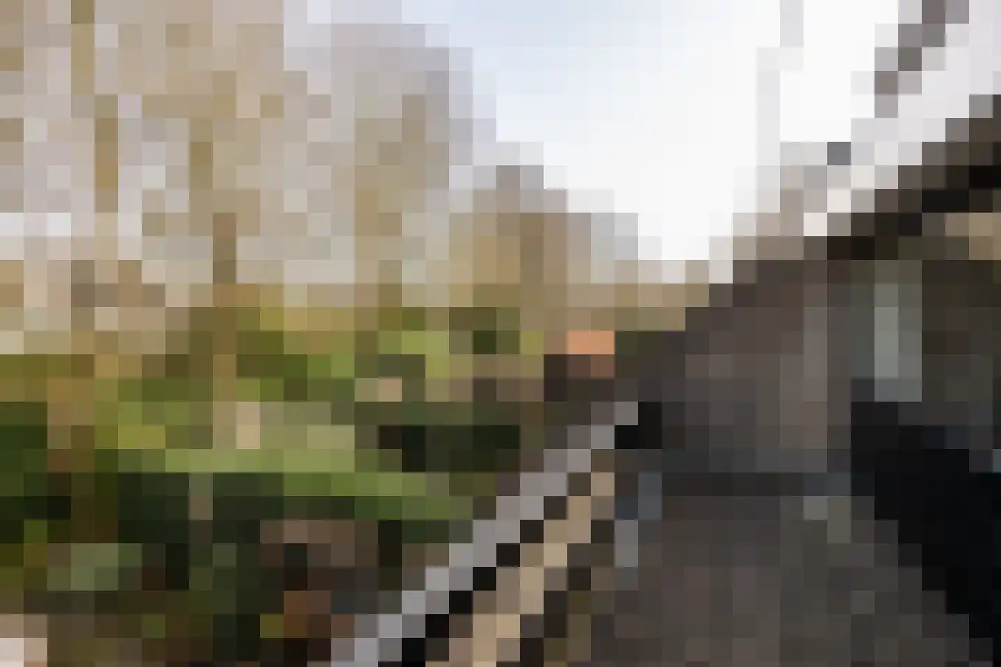 Roggeland 4 Leusden thumbnail 18
