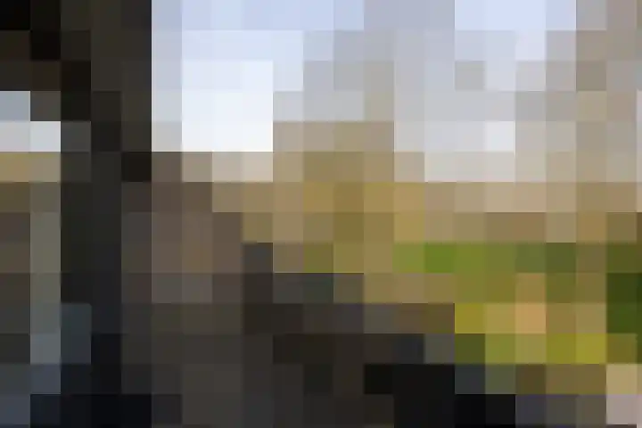 Roggeland 4 Leusden thumbnail 19