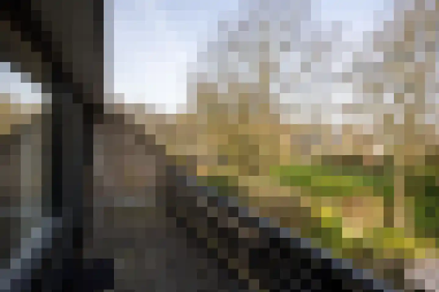 Roggeland 4 Leusden thumbnail 19