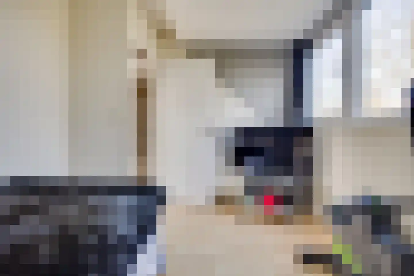 Roggeland 4 Leusden thumbnail 27