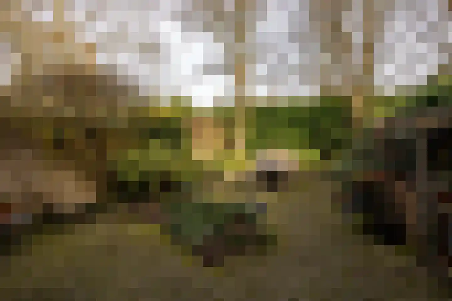 Roggeland 4 Leusden thumbnail 30
