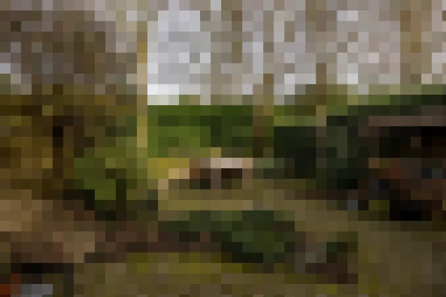 Roggeland 4 Leusden thumbnail 31
