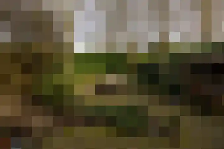 Roggeland 4 Leusden thumbnail 31