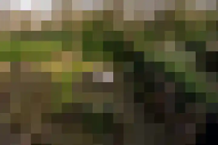 Roggeland 4 Leusden thumbnail 33