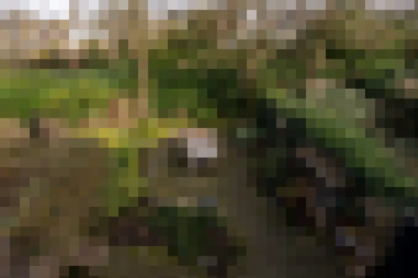 Roggeland 4 Leusden thumbnail 33