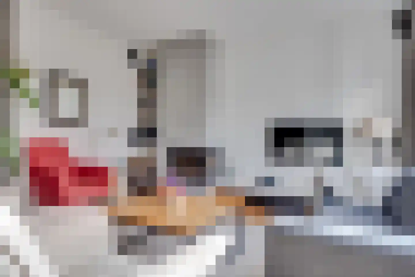 Roggeland 4 Leusden thumbnail 6