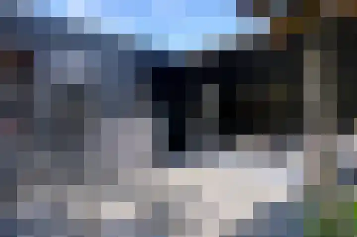Roggelelie 1 Gieten thumbnail 11