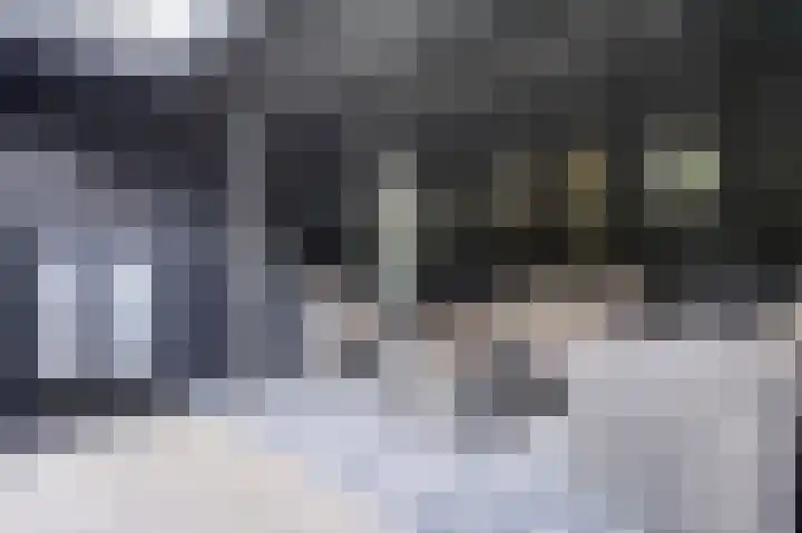 Roggelelie 1 Gieten thumbnail 12