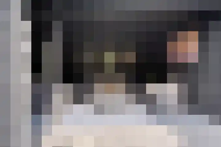 Roggelelie 1 Gieten thumbnail 13