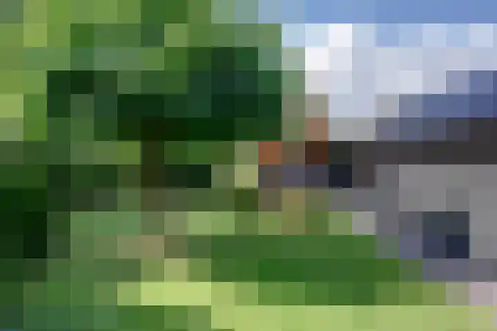 Roggelelie 1 Gieten thumbnail 15