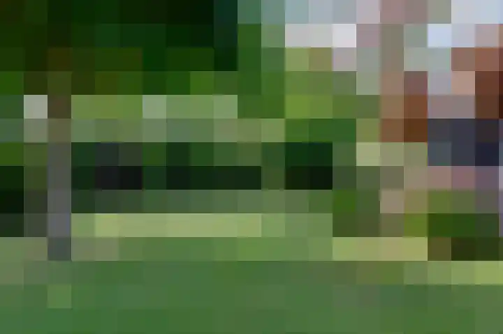 Roggelelie 1 Gieten thumbnail 16